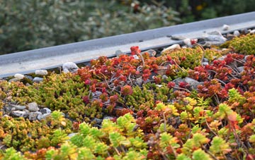 the cost of Well Bottom green roof installation