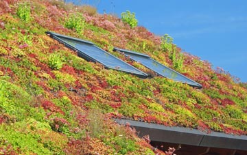 Well Bottom living roof systems