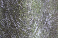 Well Bottom fibreglass roof work